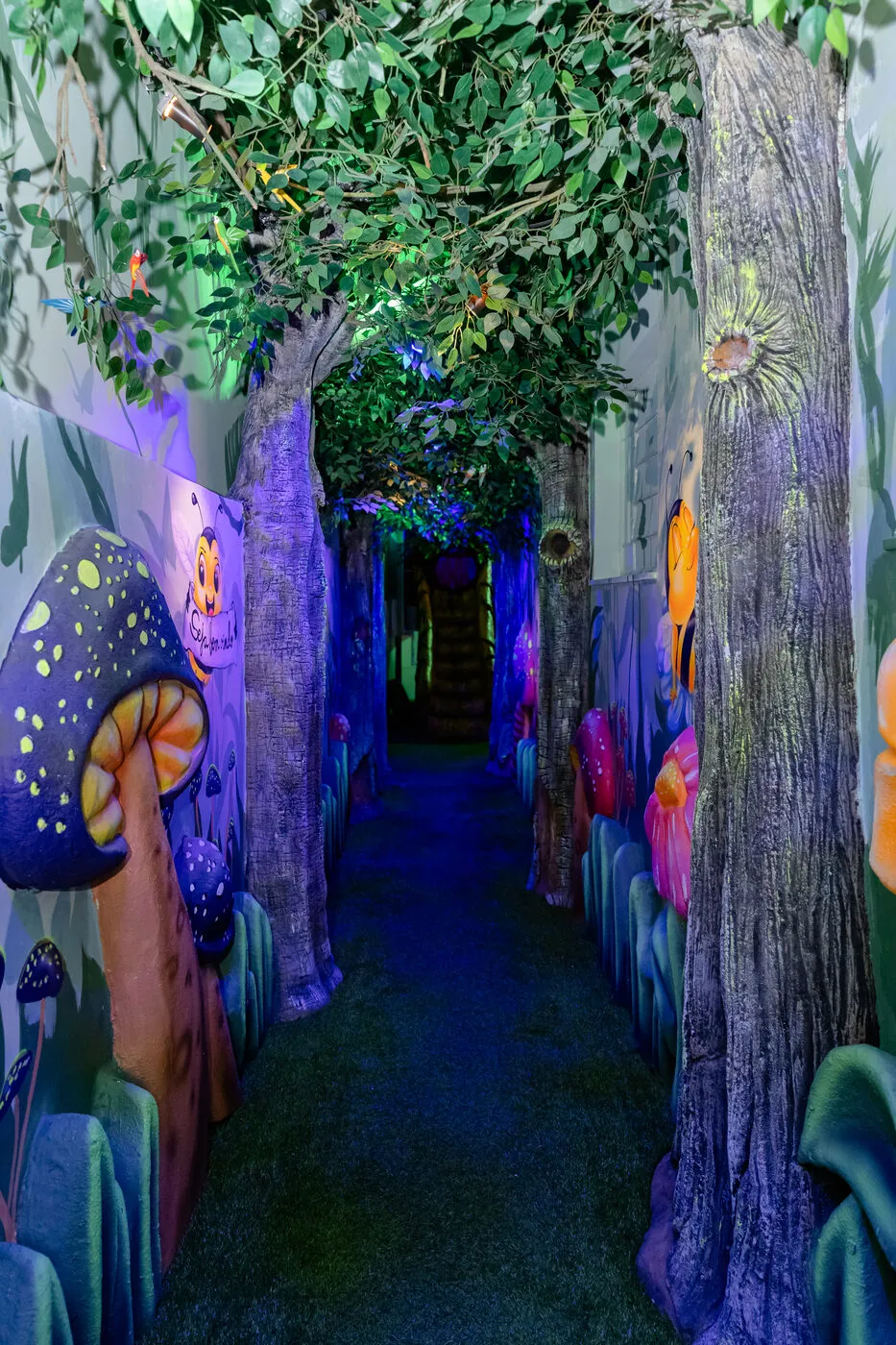 Corredor da floresta encantada do Bosque dos Sonhos com luz suave